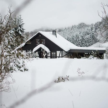Romantikhuette Neuastenberg Winterberg Eksteriør bilde